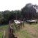 Woodlands Cottages & Camping - 267487
