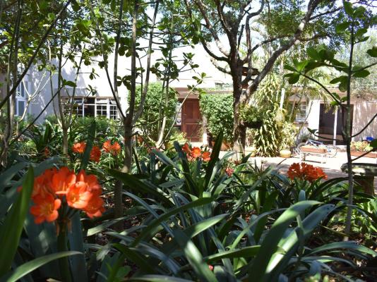 Woodlands Cottages & Camping - 267491