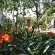 Woodlands Cottages & Camping - 267491