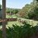Woodlands Cottages & Camping - 267492