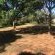 Woodlands Cottages & Camping - 267503