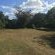 Woodlands Cottages & Camping - 267504