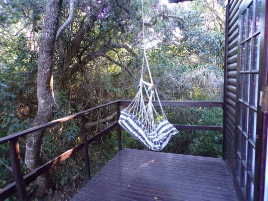 Room image 6