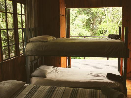 Woodlands Cottages & Camping - 267560