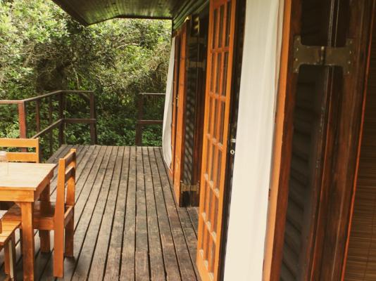 Woodlands Cottages & Camping - 267566