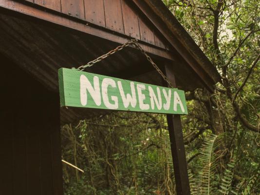 Woodlands Cottages & Camping - 267570