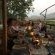 Wellington Country House - 267585