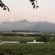 Wellington Country House - 267597