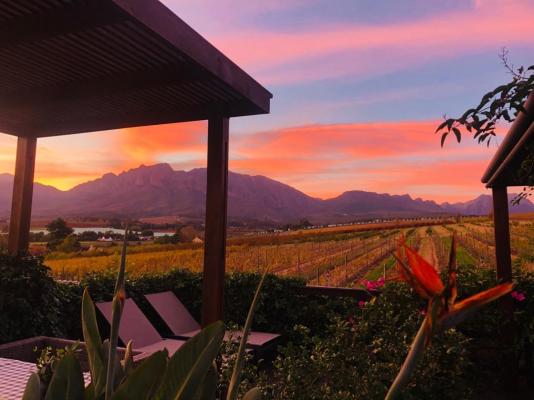Wellington Country House - 267599
