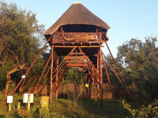 Bona Ngwenya Lodge - 267833