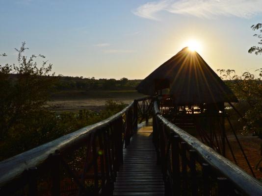 Bona Ngwenya Lodge - 267834