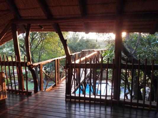 Bona Ngwenya Lodge - 267840