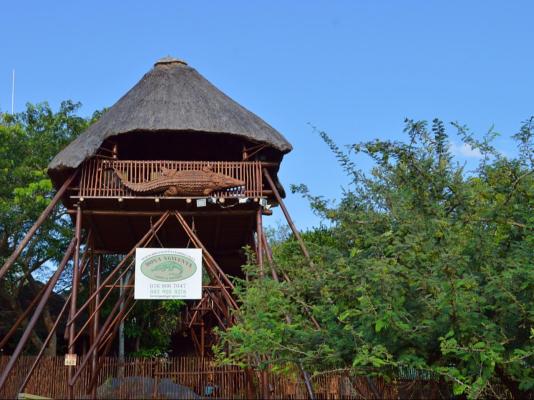 Bona Ngwenya Lodge - 267841