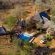 Bona Ngwenya Lodge - 267844