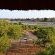 Bona Ngwenya Lodge - 267846