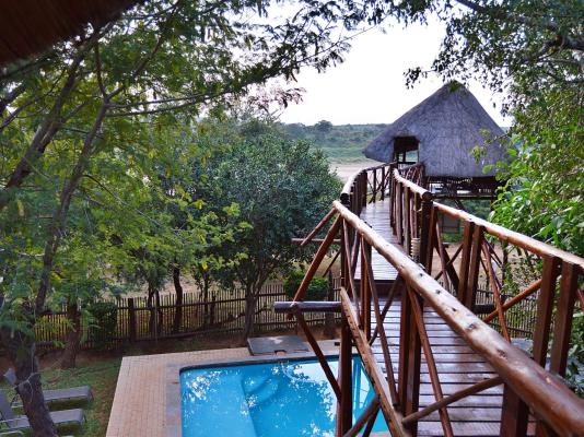 Bona Ngwenya Lodge - 267850