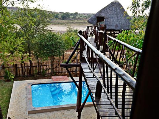 Bona Ngwenya Lodge - 267853