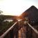 Bona Ngwenya Lodge - 267856