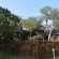 Bona Ngwenya Lodge - 267864