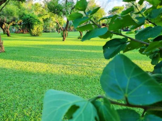 Bushbabies Lodge - 267888