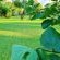 Bushbabies Lodge - 267888