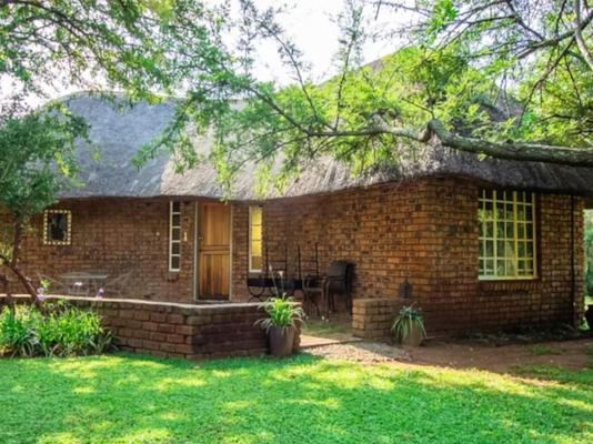 Bushbabies Lodge - 267890