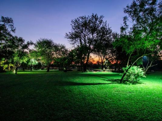 Bushbabies Lodge - 267893