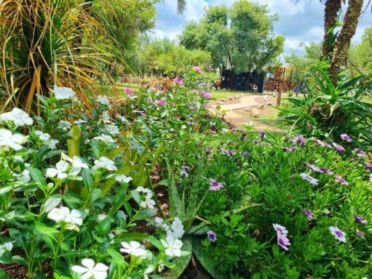 Bushbabies Lodge - 267896