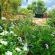 Bushbabies Lodge - 267896