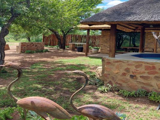 Bushbabies Lodge - 267931