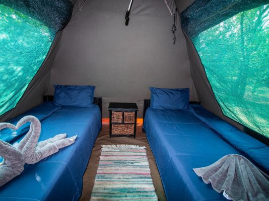 Bushbabies Lodge - 267933