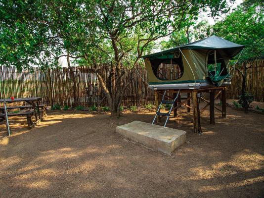 Bushbabies Lodge - 267934