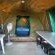 Bushbabies Lodge - 267940