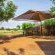 Bushbabies Lodge - 267946