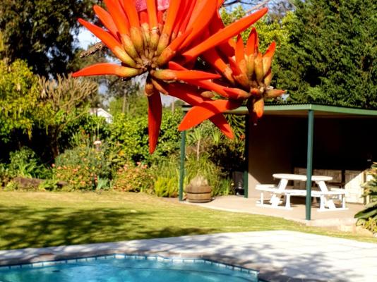 KaapsePracht Bed & Breakfast - 268024