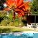 KaapsePracht Bed & Breakfast - 268024