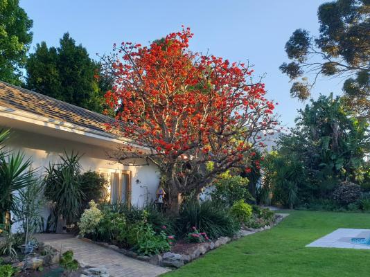 KaapsePracht Bed & Breakfast - 268026