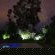 KaapsePracht Bed & Breakfast - 268034