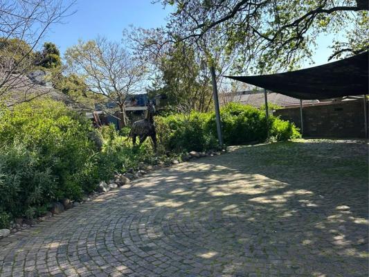 Kriluki Accommodation - 268150