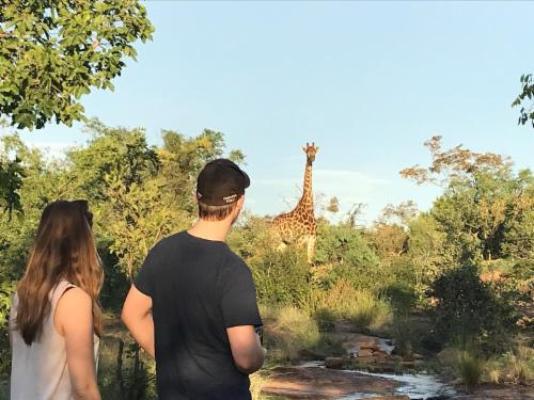 Magari Safari Lodge - Natural landscape
