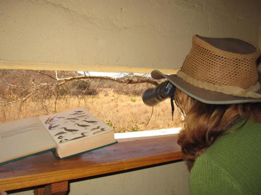 Palala River Cottages - 268349