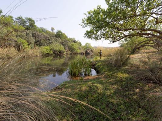 Palala River Cottages - 268350