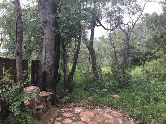 Palala River Cottages - 268372
