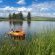 Newcastle Country Lodge - Natural landscape
