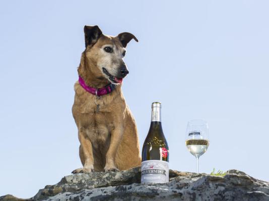 Silvermist Wine Estate - 268516