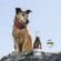 Silvermist Wine Estate - 268516