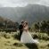 Silvermist Wine Estate - 268525
