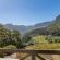 Silvermist Wine Estate - 268542