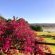 Woodbourne Resort - 268931