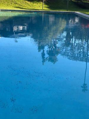 Saltwater Swimming Pool